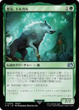 盟友、トルガル/Torgal, A Fine Hound 【日本語版】 [FIN-緑U]