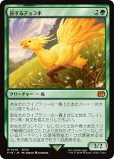 旅するチョコボ/Traveling Chocobo 【日本語版】 [FIN-緑MR]