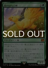 旅するチョコボ/Traveling Chocobo 【日本語版】 [FIN-緑MR]