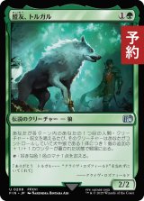 盟友、トルガル/Torgal, A Fine Hound 【日本語版】 [FIN-緑U] (予約R)