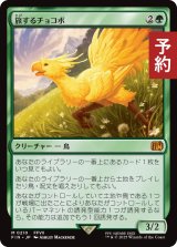旅するチョコボ/Traveling Chocobo 【日本語版】 [FIN-緑MR] (予約R)