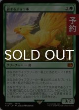 旅するチョコボ/Traveling Chocobo 【日本語版】 [FIN-緑MR] (予約R)