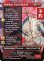 画像1: 召喚：幻獣ラムウ/Summon: Esper Ramuh (全面アート版) 【英語版】 [FIN-赤U] (予約R) (1)
