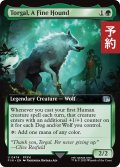 盟友、トルガル/Torgal, A Fine Hound (拡張アート版) 【英語版】 [FIN-緑U] (予約S)