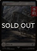 荒地/Wastes (全面アート版) 【日本語版】 [FIN-土地C] (予約R)