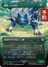 盟友、トルガル/Torgal, A Fine Hound (全面アート版) 【日本語版】 [FIN-緑U] (予約R)