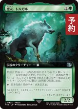 盟友、トルガル/Torgal, A Fine Hound (拡張アート版) 【日本語版】 [FIN-緑U] (予約R)