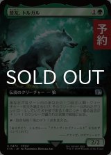 盟友、トルガル/Torgal, A Fine Hound (拡張アート版) 【日本語版】 [FIN-緑U] (予約R)