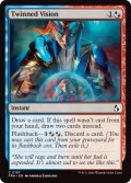 対なす幻視/Twinned Vision 【英語版】 [FRA-金C]
