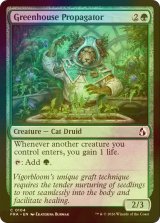 [FOIL] 温室の繁殖者/Greenhouse Propagator 【英語版】 [FRA-緑C]
