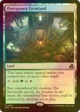 [FOIL] 草茂る農地/Overgrown Farmland 【英語版】 [FRA-土地R]