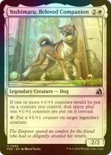 [FOIL] 寵愛受けし友、義丸/Yoshimaru, Beloved Companion 【英語版】 [FRA-白U]