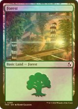 [FOIL] 森/Forest No.289 【英語版】 [FRA-土地C]