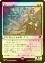 [FOIL] 導きのハイドラ/Guiding Hydra 【日本語版】 [FRA-白R]
