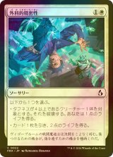 [FOIL] 外科的精密性/Surgical Precision 【日本語版】 [FRA-白C]