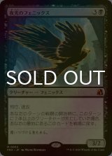 [FOIL] 夜光のフェニックス/Darklight Phoenix (海外産ブースター版) 【日本語版】 [FRA-黒MR]