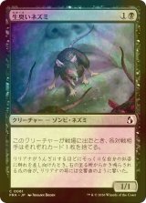 [FOIL] 生臭いネズミ/Rank Rat 【日本語版】 [FRA-黒C]