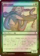 [FOIL] 秘儀の両頭蛇/Arcane Amphisbaena 【日本語版】 [FRA-緑C]