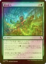[FOIL] 獣の乱入/Bestial Incursion 【日本語版】 [FRA-緑C]