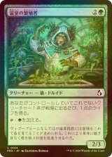 [FOIL] 温室の繁殖者/Greenhouse Propagator 【日本語版】 [FRA-緑C]