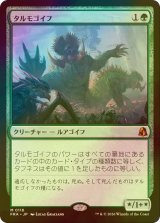 [FOIL] タルモゴイフ/Tarmogoyf (海外産ブースター版) 【日本語版】 [FRA-緑MR]
