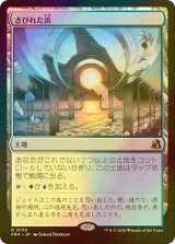 [FOIL] さびれた浜/Deserted Beach 【日本語版】 [FRA-土地R]