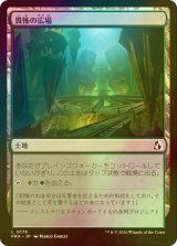 [FOIL] 畏怖の広場/Formidable Commons 【日本語版】 [FRA-土地C]