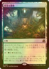 [FOIL] 草茂る農地/Overgrown Farmland 【日本語版】 [FRA-土地R]