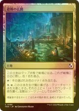 [FOIL] 避難の広間/Room of Refuge 【日本語版】 [FRA-土地C]