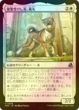 [FOIL] 寵愛受けし友、義丸/Yoshimaru, Beloved Companion 【日本語版】 [FRA-白U]