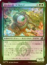 [FOIL] 道を知る者、フブルスプ/Fblthp, Knows the Way 【日本語版】 [FRA-緑U]