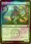 [FOIL] 霊気の苦行者、ピア/Pia, Aether Ascetic 【日本語版】 [FRA-緑U]