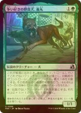 [FOIL] 争い好きの野良犬、義丸/Yoshimaru, Scrappy Stray 【日本語版】 [FRA-緑U]