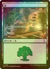 [FOIL] 森/Forest No.289 【日本語版】 [FRA-土地C]