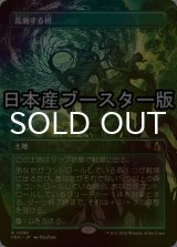 [FOIL] 乱動する梢/Roiling Canopy ● (全面アート・日本産ブースター版) 【日本語版】 [FRA-土地R]