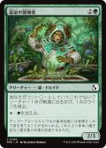温室の繁殖者/Greenhouse Propagator 【日本語版】 [FRA-緑C]