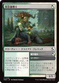 救急植療士/Emergency Phytomedic 【日本語版】 [FRA-金C]