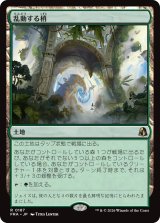 乱動する梢/Roiling Canopy 【日本語版】 [FRA-土地R]