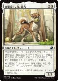 寵愛受けし友、義丸/Yoshimaru, Beloved Companion 【日本語版】 [FRA-白U]