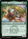 道を知る者、フブルスプ/Fblthp, Knows the Way 【日本語版】 [FRA-緑U]