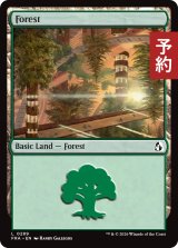 森/Forest No.289 【英語版】 [FRA-土地C] (予約H)