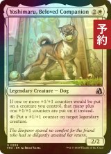 [FOIL] 寵愛受けし友、義丸/Yoshimaru, Beloved Companion 【英語版】 [FRA-白U] (予約I)