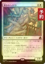 [FOIL] 導きのハイドラ/Guiding Hydra 【日本語版】 [FRA-白R] (予約I)