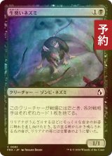 [FOIL] 生臭いネズミ/Rank Rat 【日本語版】 [FRA-黒C] (予約I)