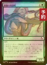 [FOIL] 秘儀の両頭蛇/Arcane Amphisbaena 【日本語版】 [FRA-緑C] (予約I)