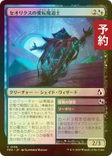 [FOIL] セオリクスの変転魔道士/Theorix Metamage 【日本語版】 [FRA-金C] (予約I)