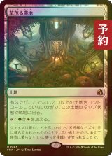 [FOIL] 草茂る農地/Overgrown Farmland 【日本語版】 [FRA-土地R] (予約I)