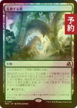 [FOIL] 乱動する梢/Roiling Canopy 【日本語版】 [FRA-土地R] (予約I)