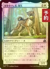 [FOIL] 寵愛受けし友、義丸/Yoshimaru, Beloved Companion 【日本語版】 [FRA-白U] (予約I)