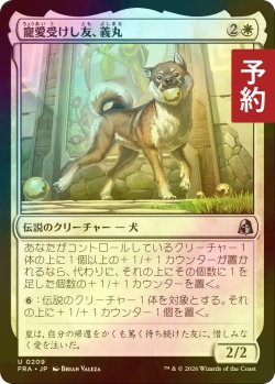 画像1: [FOIL] 寵愛受けし友、義丸/Yoshimaru, Beloved Companion 【日本語版】 [FRA-白U] (予約I)